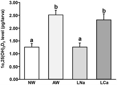 Vitamin D regulates ion regulation by affecting the ionocyte differentiation in zebrafish (Danio rerio) larvae